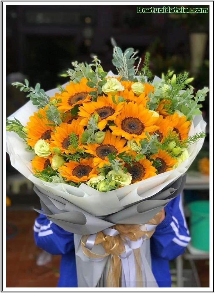 Ánh dương bừng sáng - HB566