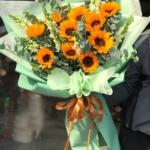 Bó Hoa Hướng Dương Chúc Mừng HBR505 - Hy Vọng