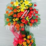 Nụ Cười Chiến Thắng K475