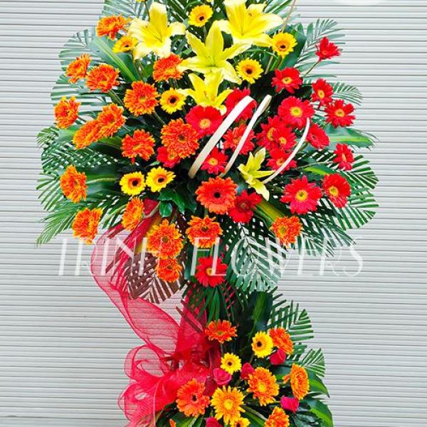 Nụ Cười Chiến Thắng K475