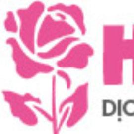 Điện hoa hà nội