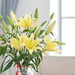 Nghệ Thuật Bó Hoa Cầm Tay Dạng Tự Nhiên (Wildflower Style) Cho Cô Dâu Hiện Đại